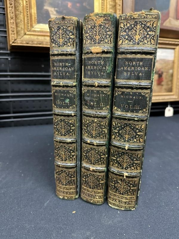 RARE (3) volume set ( The North American Sylva, or a description of the forest trees of the United (1 of 18)