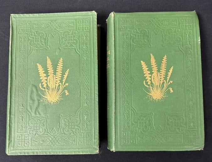(2) Volume Set - Our Native Ferns or A History Of The British Species And Their Varieties ( LONDON (1 of 8)