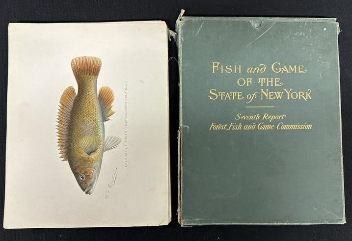 FISH and GAME OF THE STATE of NEW YORK Seventh Report Forest, Fish and Game Commission set of prints (1 of 7)