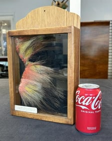 PAWNEE HAIR ROACH, circa 1860's, came from the FORT ROBINSON area, NEBRASKA, in case, from estate in