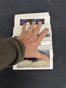40 nudes ,erotic, and related subject matter stereo view cards