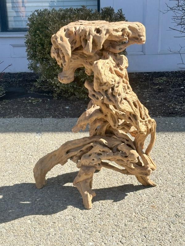 Root table base, from estate of Paul Wang of Kingston, N.Y. ( structurally sound), had scultpture on: Root table base, from estate of Paul Wang of Kingston, N.Y. ( structurally sound), had scultpture on top, measures 35" high and top is 18" x 13".