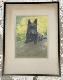 Morgan Dennis (1892 - 1960) Scottish Terrier puppy, pastel on paper laid to board, signed along