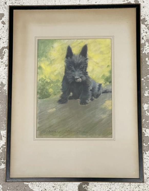 Morgan Dennis (1892 - 1960) Scottish Terrier puppy, pastel on paper laid to board, signed along: Morgan Dennis (1892 - 1960) Scottish Terrier puppy, pastel on paper laid to board, signed along bottom edge. In fine condition, some foxing on matting. Pastel measures 12" x 9", the frame measures 20"