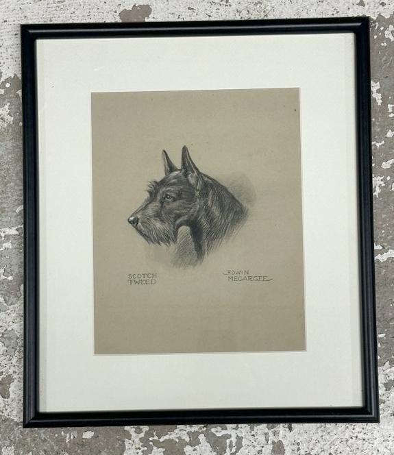 Edwin Megargee (1883 - 1958) ( SCOTCH TWEED ) original pastel or charcoal drawing, nicely framed and: Edwin Megargee (1883 - 1958) ( SCOTCH TWEED ) original pastel or charcoal drawing, nicely framed and matted. Drawing measures 10" x 8", the frame measures 15.5" x 13.5". From the estate of world renow