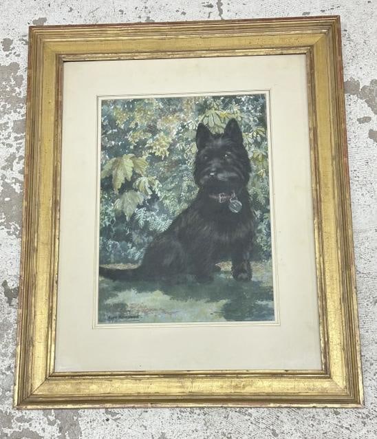 Ruth Beardmore signed w/color of Scottish Terrier, well executed, and in fine condition, in very: Ruth Beardmore signed w/color of Scottish Terrier, well executed, and in fine condition, in very nice contemporary gilt frame. The painting measures 19" x 14", the frame measures 32" x 26". From the e