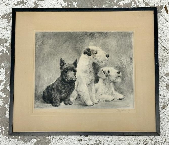 Curt Meyer-Eberhardt (1895 - 1977) etching of (3) Scottish Terriers, pencil signed lower right, in: Curt Meyer-Eberhardt (1895 - 1977) etching of (3) Scottish Terriers, pencil signed lower right, in nice condition, etching measures 10" x 12.5", the frame measures 16.5" x 19". From the estate of worl