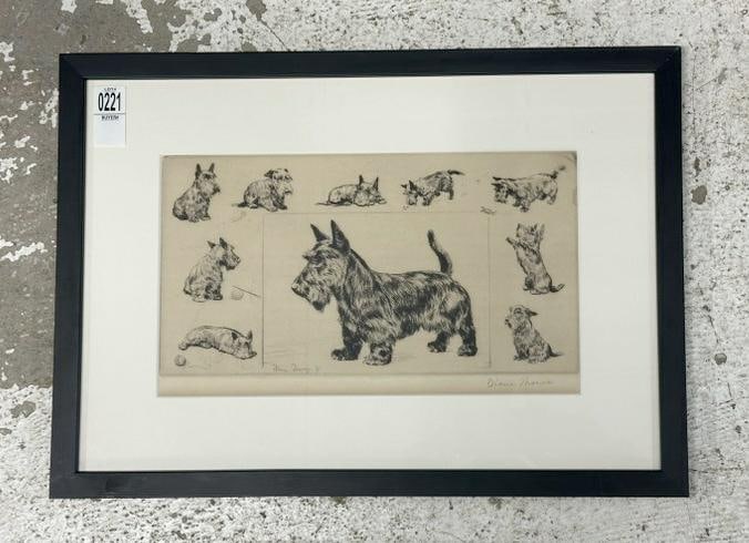 Diana Thorne (1894/95 - 1963) signed engraving of Scottish Terriers, pencil signed lower right, nice: Diana Thorne (1894/95 - 1963) signed engraving of Scottish Terriers, pencil signed lower right, nice estate condition. Engraving measures 8" x 13", the frame measures 14" x 19.5". From the estate of w