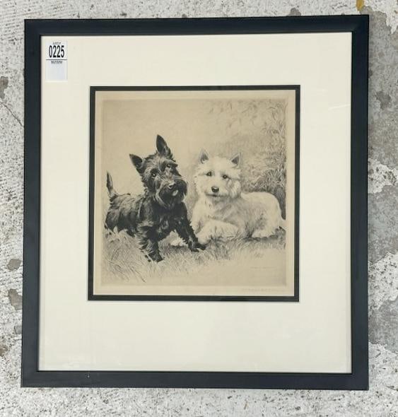 Morgan Dennis (1892 - 1960) signed etching of (2) Scottish Terriers, one black, one white, nicely: Morgan Dennis (1892 - 1960) signed etching of (2) Scottish Terriers, one black, one white, nicely matted and framed, etching measures 10" x 10", the frame measures 17.5" x 16", very nice condition. Fr