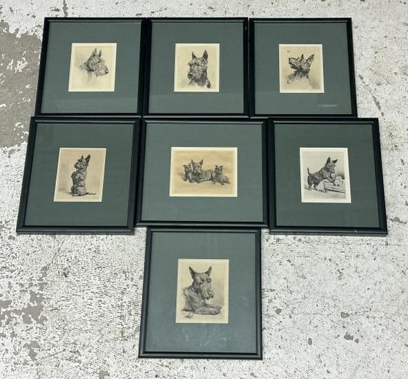 (7) signed illegibly ( Otto ? or Offor ? ), SCOTTISH TERRIER etchings, all by same Artist, in: (7) signed illegibly ( Otto ? or Offor ? ), SCOTTISH TERRIER etchings, all by same Artist, in similar black frames and green matting, average etching size is approx. 5" x 6.5", frames approx. 11.25" x