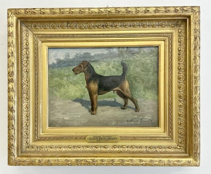 Gustav Muss-Arnolt (1858 - 1927) o/c of ( Welsh Terrier ), painting measures 9" x 12", nice gold: Gustav Muss-Arnolt (1858 - 1927) o/c of ( Welsh Terrier ), painting measures 9" x 12", nice gold frame measures 16" x 19", in fine estate condition. Has ( WILLIAM SECORD GALLERY label on back, New Yor