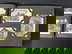 item-207403398=4