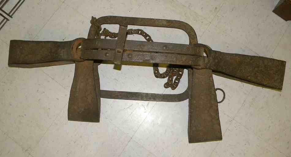 Antique 44" BEAR TRAP Probably NEWHOUSE ?: Antique 44" BEAR TRAP Probably NEWHOUSE ?, from the Adirondack estate collection.