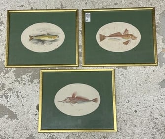 (3) early framed FISH prints, all in matching gilt frames, from estate in Hudson Valley, all with