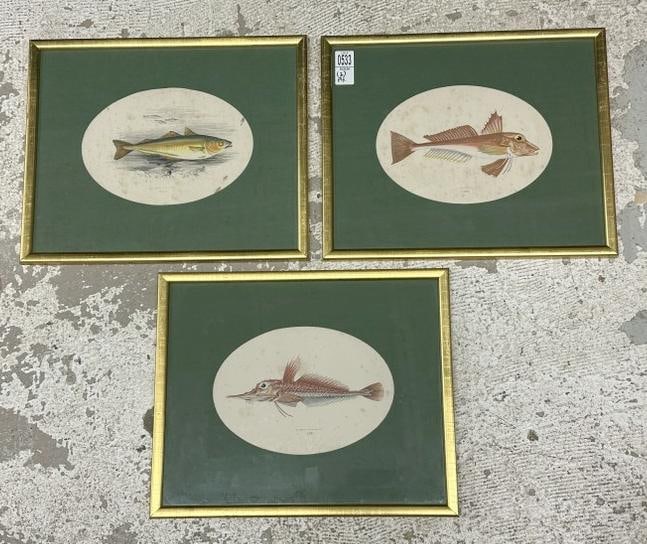 (3) early framed FISH prints, all in matching gilt frames, from estate in Hudson Valley, all with (1 of 5)