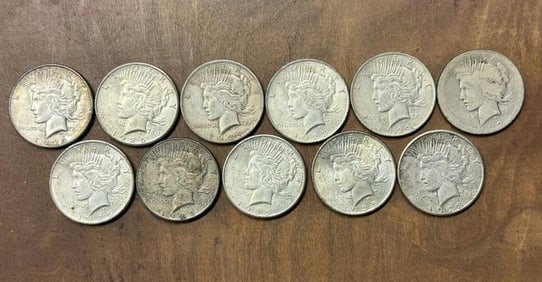 (11) PEACE SILVER DOLLARS from local estate, includes dates 1925, 1924, 1928, 1925, 1925, 1923, 1922