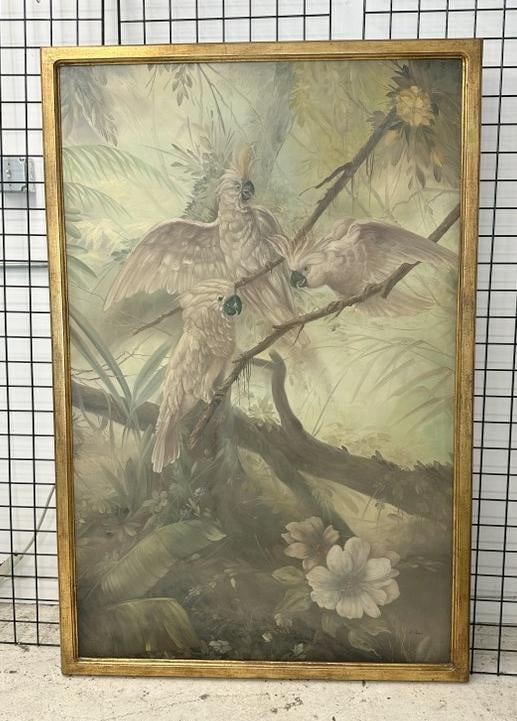 Large o/c painting of Cockatoos, in nice gold frame. Signed on bottom right ( A PARNA ? ), in very (1 of 3)
