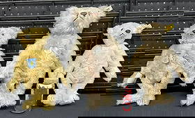 STEIFF BEARS (3) contemporary with tags, very nice estate condition, including TEDDY ROSE measuring: STEIFF BEARS (3) contemporary with tags, very nice estate condition, including TEDDY ROSE measuring 15.5" tall, and (2) others measuring 12.25" tall…..