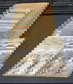 Approx. (260) stereoviews to incl. children, comic, sculpture, flowers, animals, genre. All real