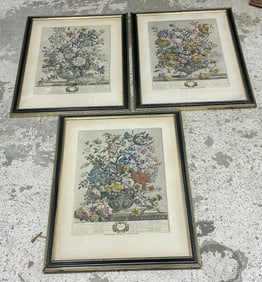 (3) 1730 Robert Furber hand colored floral engravings for the Months of ( APRIL, MAY & JUNE ), from
