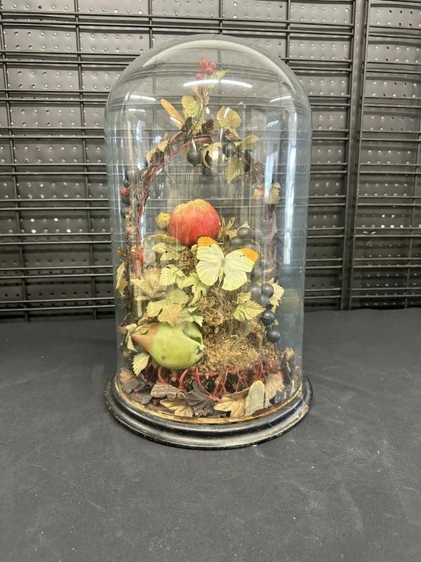 Victorian wax fruit dome with some butterflies and leaves…...From Victorian home in the Hudson (1 of 2)