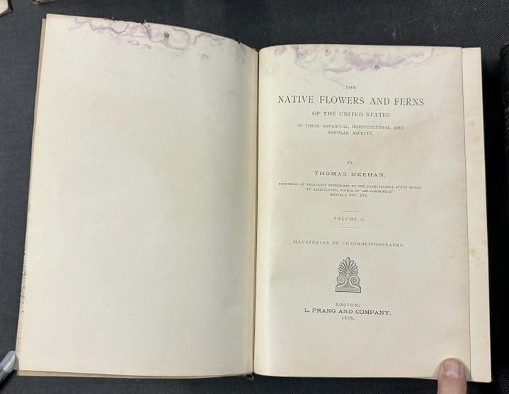 The Native Flowers and Ferns of The United States, In The Botanical, Horticultural, and Popular (1 of 11)