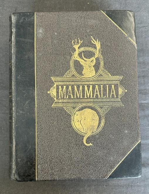 JOHNSON'S HOUSEHOLD BOOK OF NATURE, Copyright 1880, clean estate condition, tightly bound, clean: JOHNSON'S HOUSEHOLD BOOK OF NATURE, Copyright 1880, clean estate condition, tightly bound, clean inside and out, from estate library of Charles J. Carlotti.