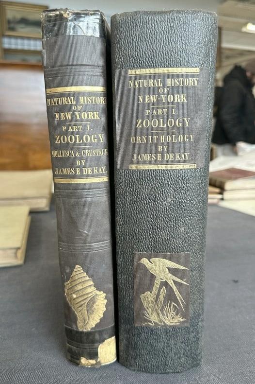 (3) Volumes NATURAL HISTORY OF NEW YORK ZOOLOGY including - ZOOLOGY OF NEW YORK OR THE NEW YORK: (3) Volumes NATURAL HISTORY OF NEW YORK ZOOLOGY including - ZOOLOGY OF NEW YORK OR THE NEW YORK FAUNA, PART II BIRDS, ALBANY, N.Y. 1844 & ZOOLOGY OF NEW YORK, OR THE NEW YORK FAUNA, PART V MOLLUSCA, A