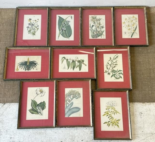 (10) wonderful early floral prints, in matching frames, nice overall condition. I see a date on one (1 of 7)