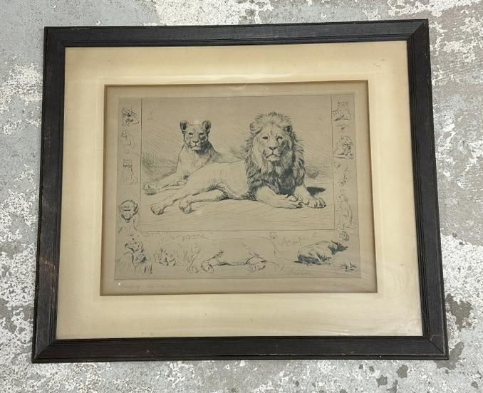 Van Muyden pencil signed etching with Lions, signed lower right, nice overall condition. Etching (1 of 5)