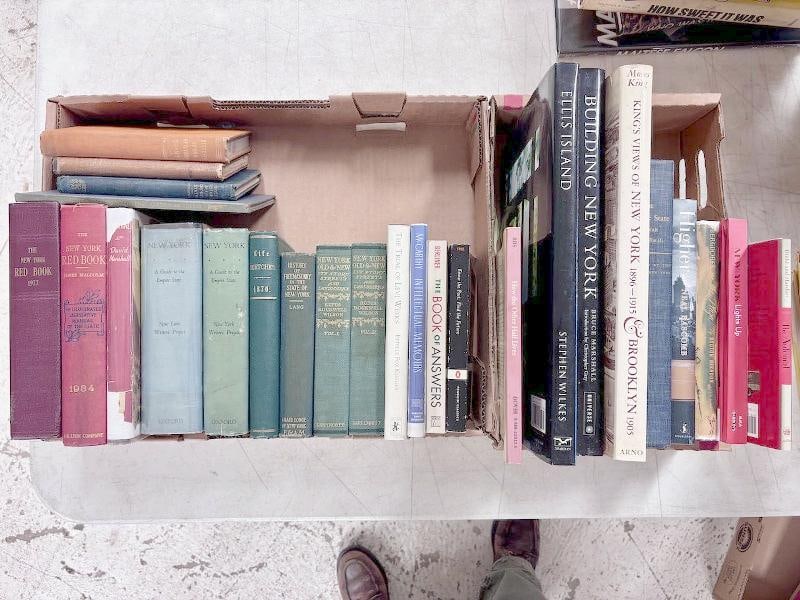25 books on New York State and NYC. Mostly hardcover, some antiquarian. Titles include How The Other (1 of 5)