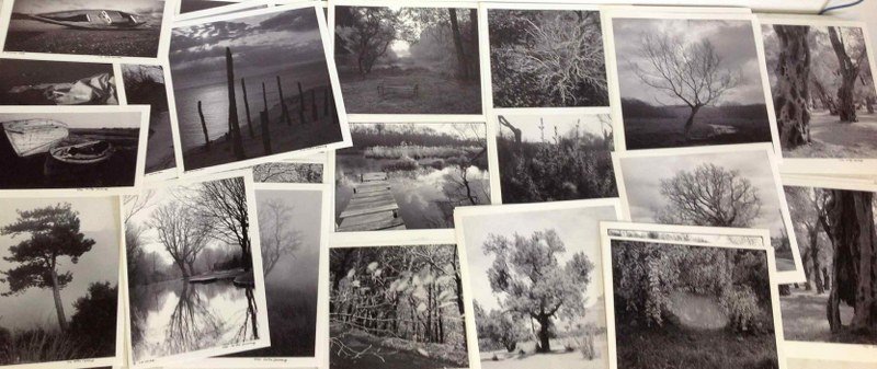 LOT OF 38 FELIX DOMECQ SIGNED PHOTOGRAPHS, DIFFERENT: LOT OF 38 FELIX DOMECQ SIGNED PHOTOGRAPHS, DIFFERENT SIZES, BOATS, LANDSCAPES, TREES, AND OTHERS, AS PICTURED