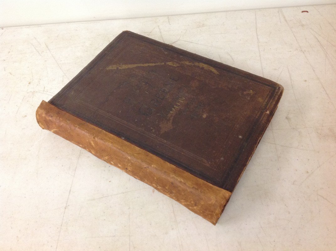 BOOK-HISTORY OF GREENE COUNTY, NY 1884, WITH (1 of 1)