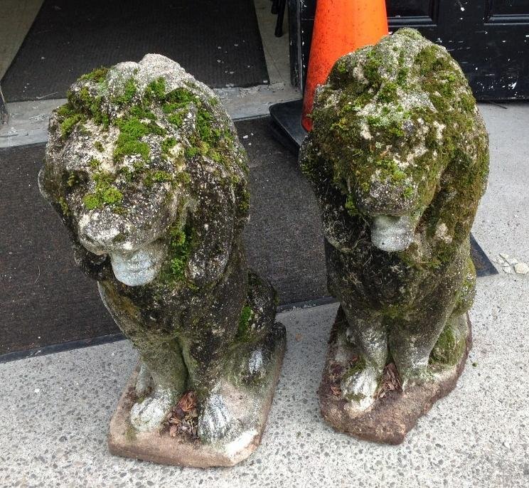 PAIR OF CONCRETE LION GARDEN STATUES WITH GREAT OLD (1 of 7)