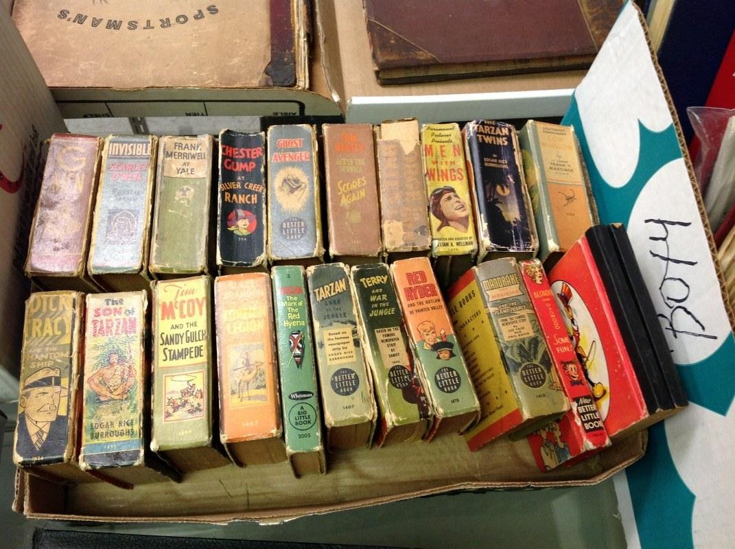 LOT OF BIG LITTLE BOOKS (1 of 1)