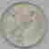 item-124627414=10