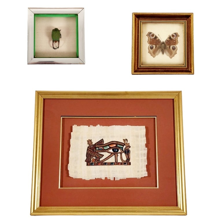 Framed Hieroglyph and Insects incl. Scarab Beetle (1 of 9)