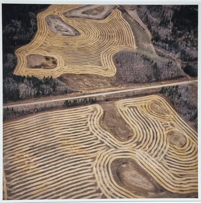 Terry Evans South Prince Albert Chromogenic Print (1 of 4)