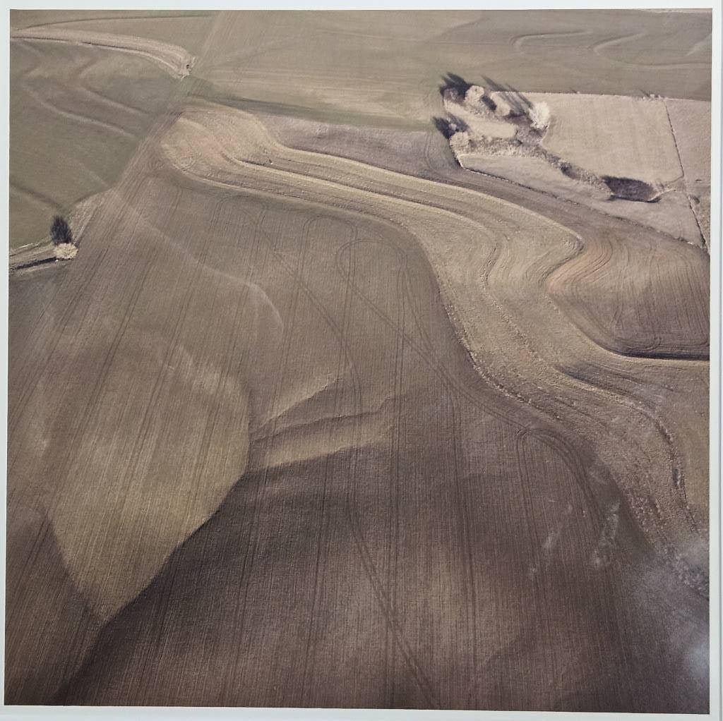 Terry Evans Spring Saline County Chromogenic Print (1 of 4)