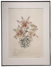 Salvador Dali Lilium Auratium Formicans Litho