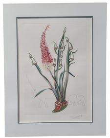 Salvador Dali Kniphofia Aphrodisiaca Signed Litho