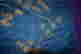 item-124217476=6