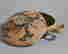 item-120912356=3