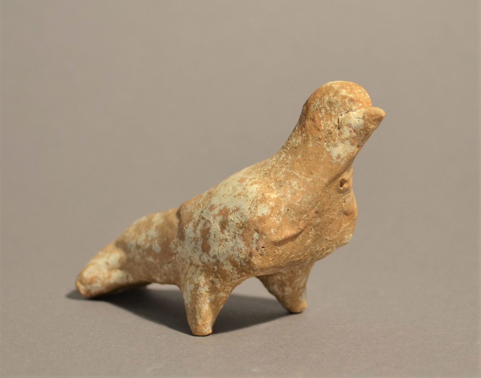 Ancient Greek Terracotta Bird (1 of 5)