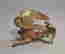 item-130225168=11
