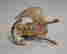 item-130225168=15