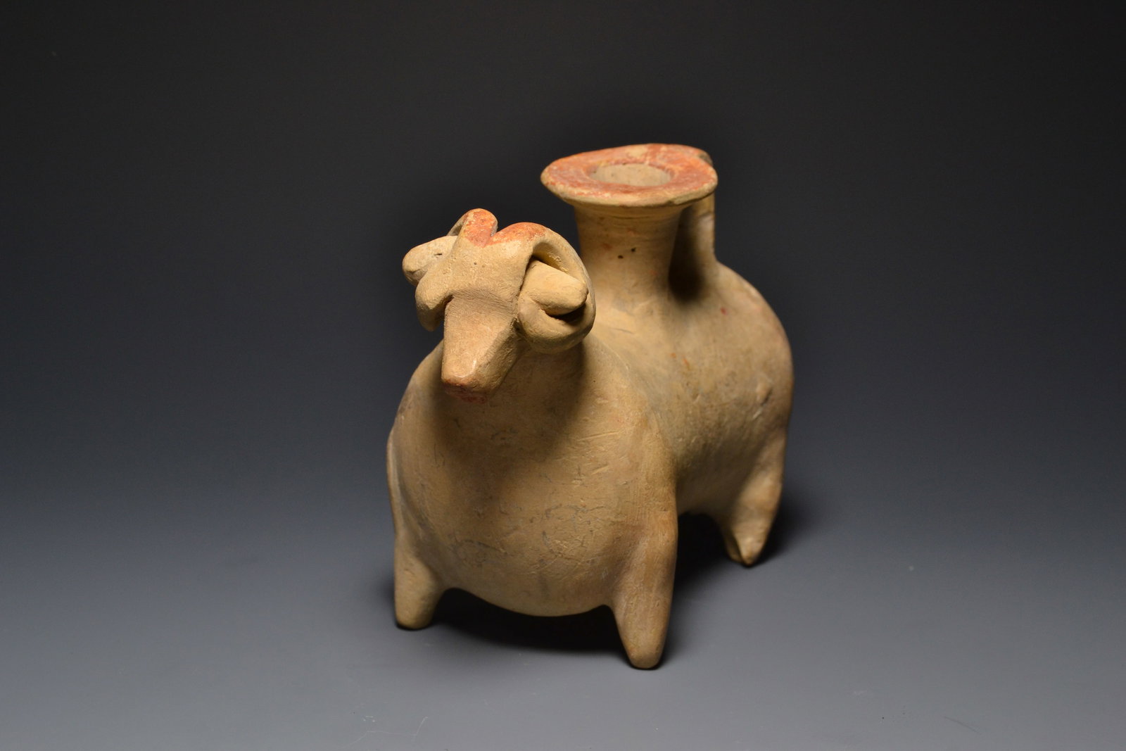 NEAR EASTERN ZOOMPRPHE ASKOS (1 of 3)