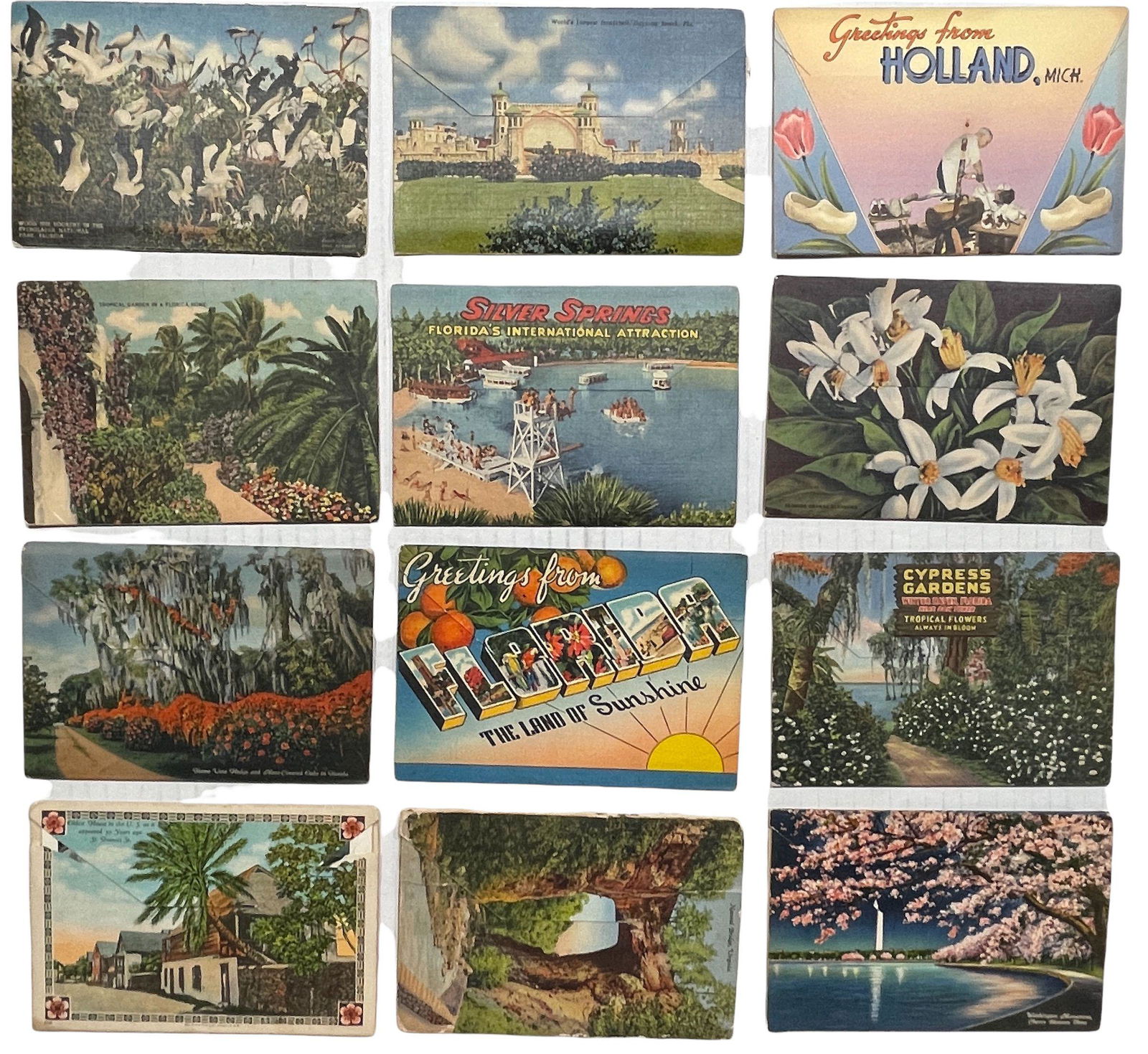 Twelve Fold-Out Travelogue Postcrad. (1 of 2)