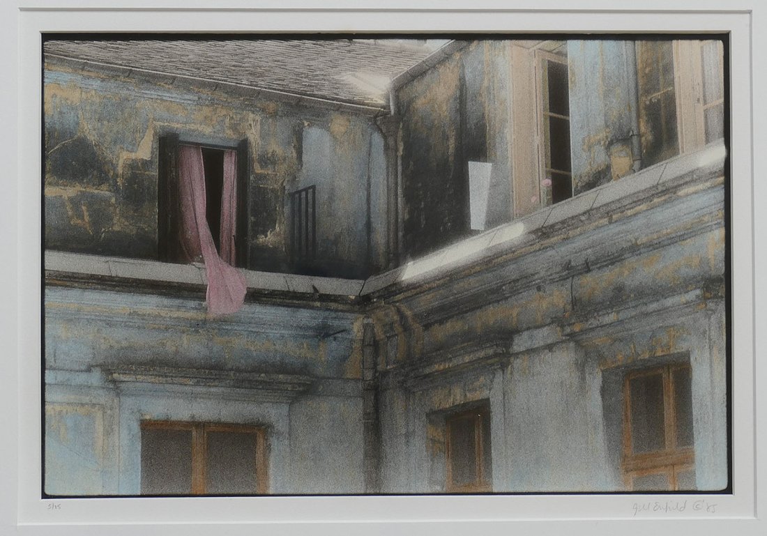 Jill Enfield (b.1954) Hand Painted Photographic Print: Jill Enfield (b.1954) Hand Painted Photographic Print. Archival pigment print from black-and-white infrared film, printed onEktalure G paper, painted on the silver gelatin print with oil paints and co