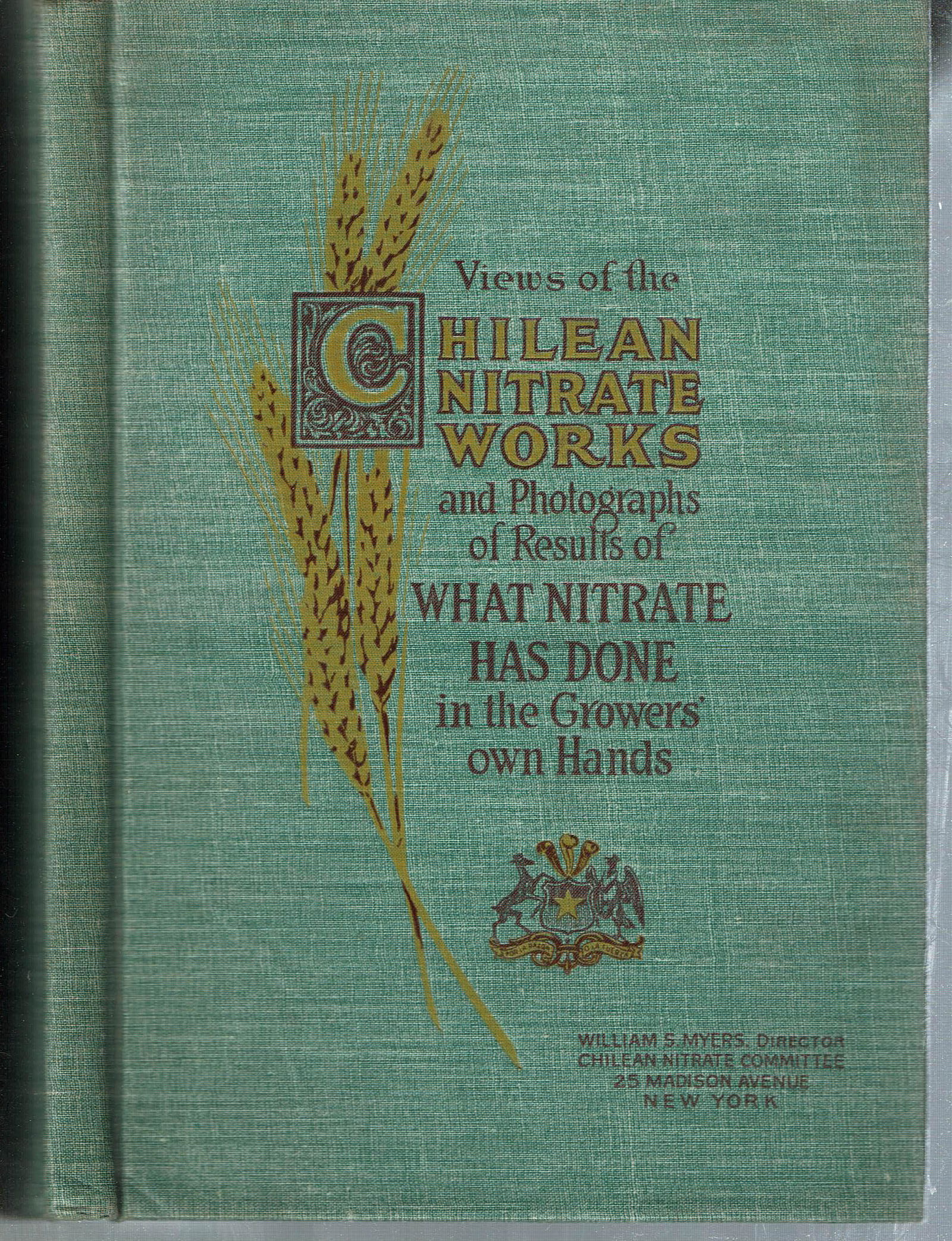 (Mining) VIEW OF CHILEAN NITRATE WORKS 1910 Fertilizer Chile (1 of 5)